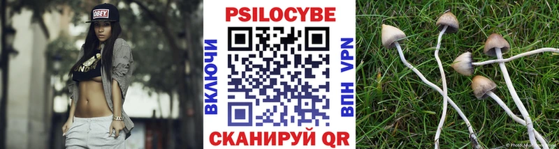 Купить где  Валуйки  Псилоцибиновые грибы GOLDEN TEACHER 